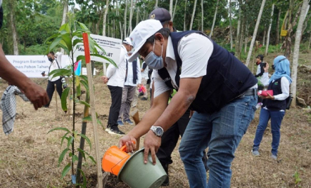 PLN Dukung Pengembangan Agroforestry untuk Mengurangi Angka Lahan Kritis - GenPI.co