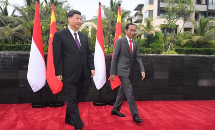 Pakar HI Sebut Jokowi Sukses Jalankan Misi Perdamaian Dunia - GenPI.co