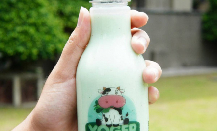 Cerdas! Mahasiswa UGM Buat Minuman Yoghurt Berbahan Genjer - GenPI.co