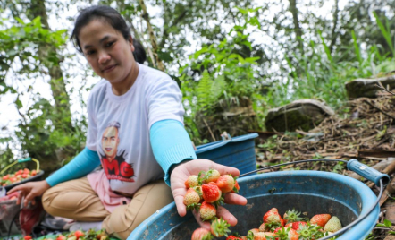 Gandeng Pemuda Bandung, Orang Muda Ganjar Ajarkan Pertanian Organik - GenPI.co