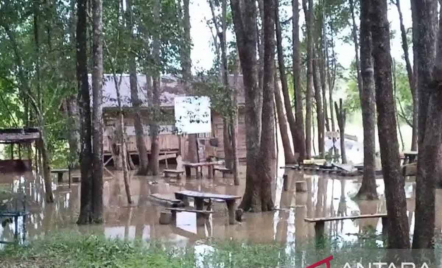 5 Kecamatan di Batanghari Jambi Banjir, Debit Sungai Terus Dipantau - GenPI.co