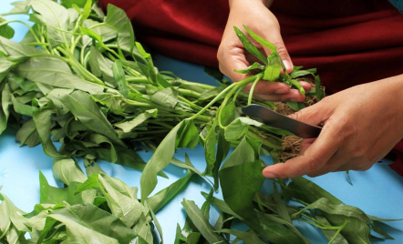 3 Makanan Tinggi Antioksidan yang Wajib Dikonsumsi, Cegah Penyakit Kronis - GenPI.co