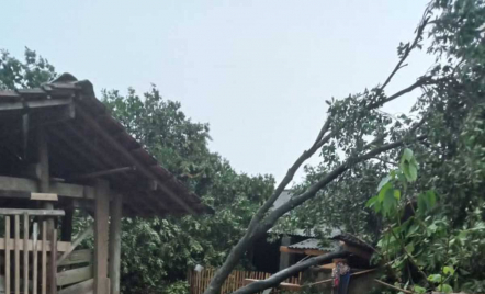 54 Rumah Rusak Akibat Angin Puting Beliung di Lampung Timur - GenPI.co