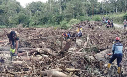 Kebun Jeruk Milik Warga Terendam Lumpur Akibat Banjir Bandang di Malang - GenPI.co