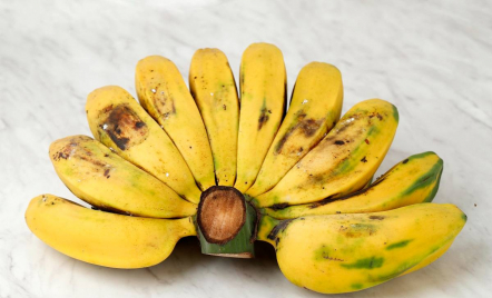 Morning Banana Diet Diklaim Dapat Menurunkan Berat Badan - GenPI.co