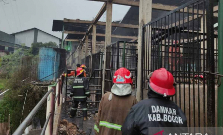 Kebakaran di Bogor Jawa Barat, 9 Ekor Kuda Mati Terpanggang - GenPI.co