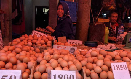 Pedagang Kesulitan Cari Untung Akibat Harga Telur Ayam di Medan Tinggi - GenPI.co