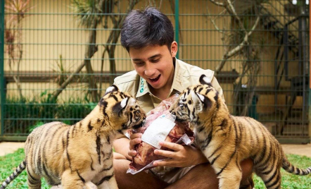 Anak Harimau Mati, Alshad Ahmad Dirujak Netizen, Putri Ria Ricis Galau - GenPI.co