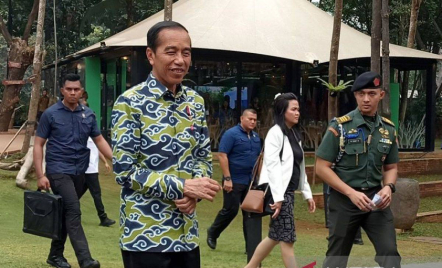 Presiden Jokowi Respons soal Pelaporan Dirinya dan 2 Putranya ke KPK - GenPI.co