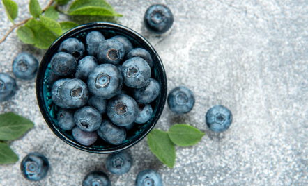 Ahli Diet Sarankan Penderita Diabetes Konsumsi Blueberry - GenPI.co