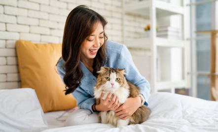 Pelihara Kucing atau Anjing Dapat Memperlambat Penurunan Kognitif, Kata Penelitian - GenPI.co