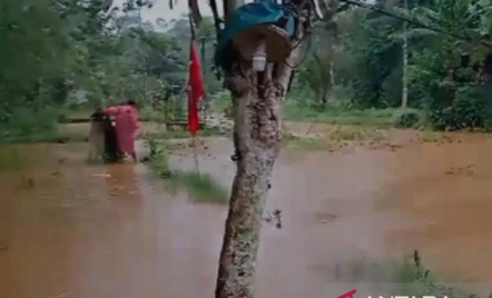 Banjir di Sukabumi, Rumah dan Tambak Ikan serta Lahan Pertanian Terendam Air - GenPI.co