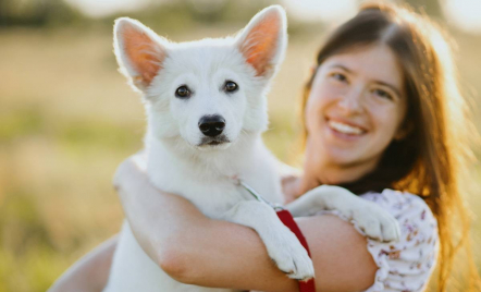 Memelihara Anjing Memiliki Ragam Manfaat, Menurut Penelitian - GenPI.co