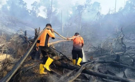 BMKG Masih Deteksi 13 Titik Panas di Kalimantan Timur - GenPI.co