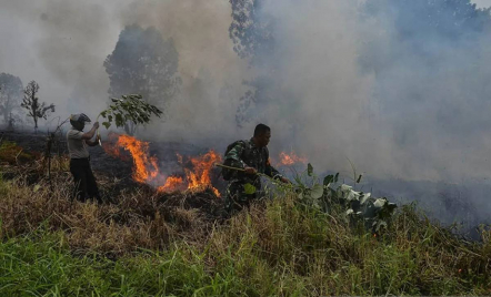 3 Daerah di Riau Darurat Kebakaran Hutan dan Lahan, Ini Titiknya - GenPI.co