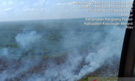 Kebakaran Hutan dan Lahan di Kepulauan Meranti Riau Capai 40 Hektare, Ini Titiknya - GenPI.co