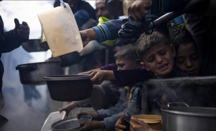 Kelaparan Terjadi di Gaza Utara Meski Ada Upaya Bantuan Baru - GenPI.co