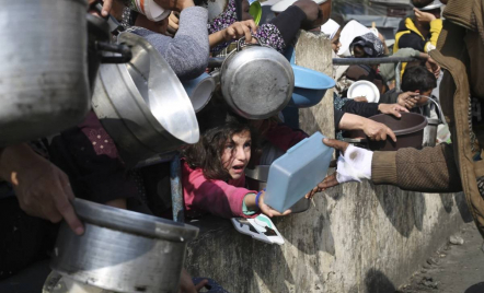 PBB Sebut Lebih dari 1 Juta Orang di Gaza Bakal Menderita Tingkat Kelaparan Tertinggi - GenPI.co