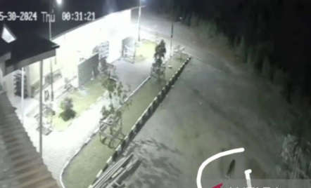 Heboh! Harimau Sumatra Tertangkap CCTV Berkeliaran di Masjid di Lubuk Selasih Solok - GenPI.co