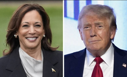 Kamala Harris dan Donald Trump Miliki Visi yang Sangat Berbeda Soal Perubahan Iklim - GenPI.co