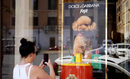 Dolce & Gabbana Meluncurkan Parfum untuk Anjing, Begini Kata Dokter Hewan - GenPI.co