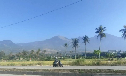 Kebakaran Hutan dan Lahan, Jalur Pendakian Gunung Guntur Ditutup - GenPI.co