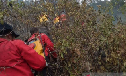 Lahan Seluas 10 Hektare di Karo Sumatra Utara Terbakar, BNPB Cari Penyebabnya - GenPI.co