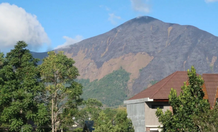 Lahan Seluas 286 Ha di Bukit Anak Dara Gunung Rinjani Terbakar - GenPI.co