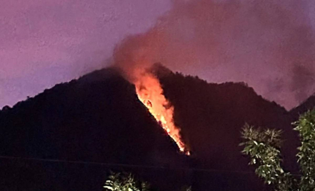 Hutan di Gunung Telomoyo Kebarakan, Diduga Ada Warga Bakar Rumput dan Daun - GenPI.co