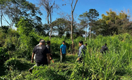 Astaga! Pegawai Bali Safari and Marine Park Diseruduk Gajah hingga Meninggal Dunia - GenPI.co