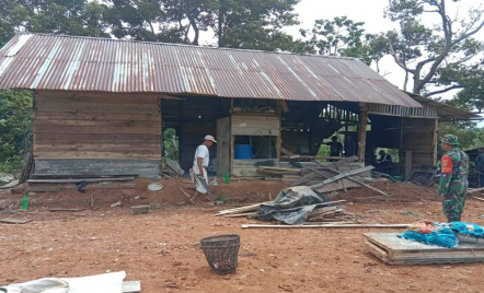 Waduh! Kawanan Gajah Liar Rusak Rumah Warga di Lampung Barat, Ini Kondisinya - GenPI.co