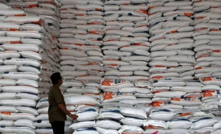 Stok Beras RI Tembus 3,7 Juta Ton, Terproduktif di ASEAN dan Tertinggi Sejak 1969 - GenPI.co