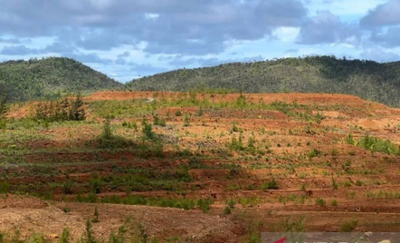 Disebut Rusak Lingkungan, ESDM Justru Bilang Tambang di Pulau Gag Aman - GenPI.co
