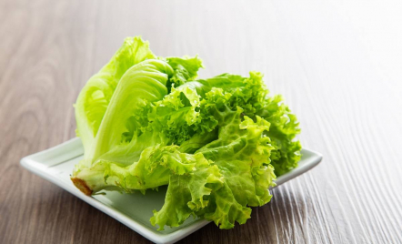 Cara Memilih Selada Berkualitas, Jangan Salah Beli - GenPI.co