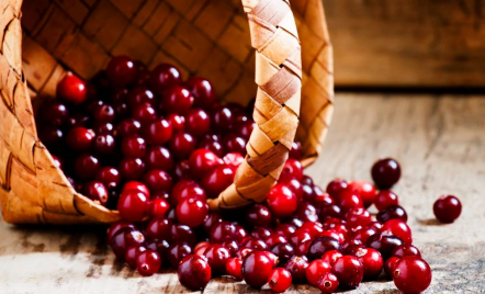 3 Manfaat Minum Jus Cranberry Setiap Hari, Terbukti Sehat - GenPI.co