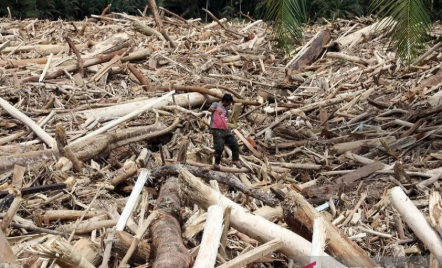 Menhut Akan Cabut 20 Izin PBPH, 12 Perusahaan Diduga Picu Banjir Sumatra - GenPI.co