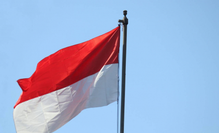 Bendera Indonesia dan Singapura Tertukar, Panitia SEA Games 2025 Dikritik - GenPI.co
