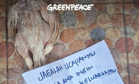 Rumah Aktivis Greenpeace Iqbal Damanik Diteror Bangkai Ayam - GenPI.co