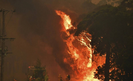 Gelombang Panas dan Kebakaran Hutan Melanda Victoria, Australia Siaga Bencana - GenPI.co