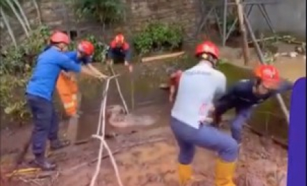 Damkar Trenggalek Evakuasi Kerbau dari Septic Tank, Netizen Beri Pujian Tinggi - GenPI.co