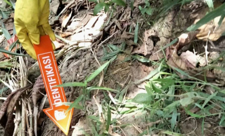 Geger! Mayat Wanita Tanpa Identitas Ditemukan di Kawasan Industri Karawang - GenPI.co