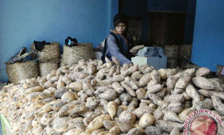 Manfaat Rutin Makan Ubi Cilembu, dari Kesehatan Kulit hingga Proteksi Jantung - GenPI.co