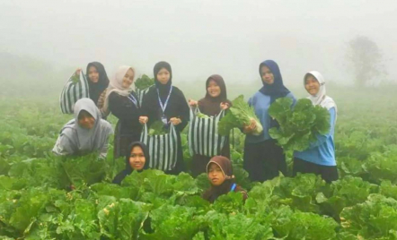Rekomendasi Wisata Magetan, Menikmati Kesejukan Kampung Susu Lawu - GenPI.co