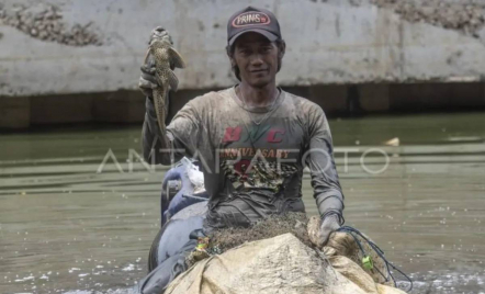 Operasi Penangkapan Ikan Sapu-Sapu Digelar Serentak di Jakarta, Demi Jaga Ekosistem - GenPI.co
