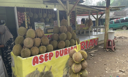 Pusat Durian Enak di Bandung, Ayo Segera ke Sana - GenPI.co