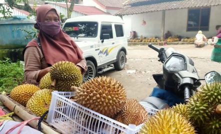 Musim Durian, Ayo Berburu ke Pasar Kembang Kemalang Klaten - GenPI.co Jateng