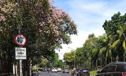 Info BMKG! Surabaya dan Malang Cerah, Waspada Suhu Siang Hari - GenPI.co Jatim