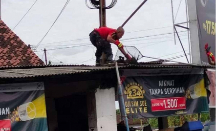 Warga Sukorame Kediri Geger, Kawanan Monyet Serbu Kampung - GenPI.co Jatim