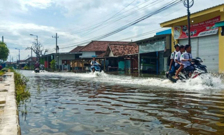 Hujan Deras Menyebabkan 3 Desa di Sidoarjo Banjir, Warga Pasrah - GenPI.co Jatim