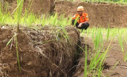 Retakan Tanah di Jember Picu Tanah Longsor, BPBD Rekomendasikan Warga Tanam Tumbuhan - GenPI.co Jatim